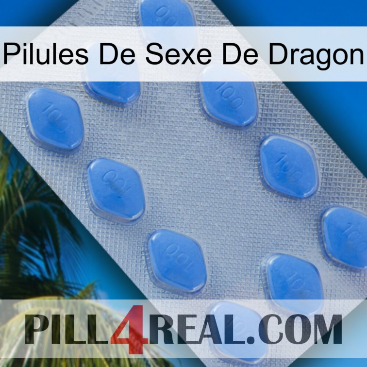 Dragon Sex Pills 21